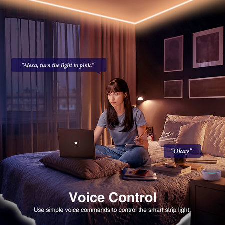 NiteBird - WiFi LED Streifen 16 Mio. Farben (2 x 5 m), App ...