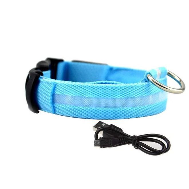 Leuchtendes Hundehalsband (Grsse S / 35-43 cm) - wiederaufladbares LED- Halsband - Maiko Series - blau | Mobile Universe