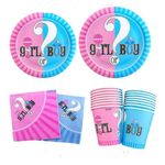 Einweg Geschirr (40-tlg. Set) - Baby Shower - Gender Reveal Party Geschirr - blau/rosa